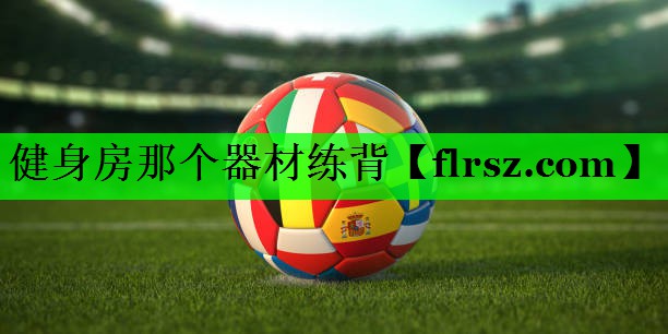 健身房那个器材练背